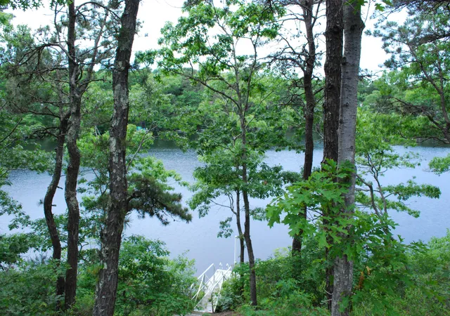 1st image of 184 Fells Pond Rd, Mashpee, MA 02649 | MLS# 22603107