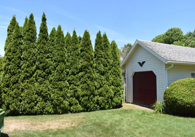 5th image of 34 Fisk St, West Dennis, MA 02670 | MLS# 22603370