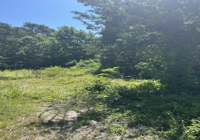 11th image of 74 Long Pond Dr, South Yarmouth, MA 02664 | MLS# 22603550