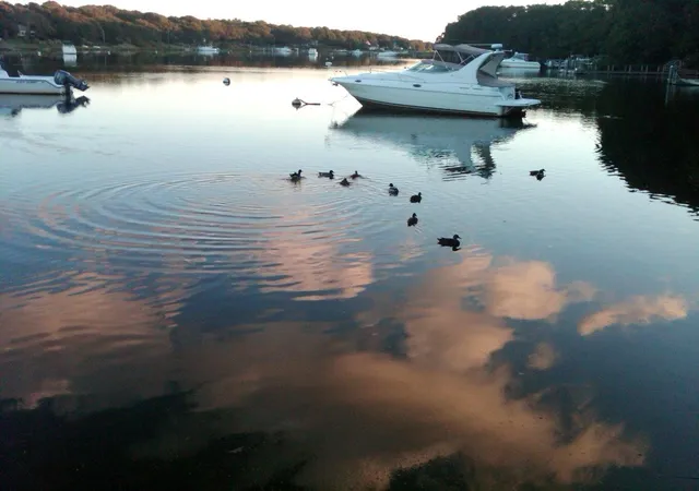 51st image of 241 Seaward #UNIT 241, Teaticket, MA 02536 | MLS# 22603625