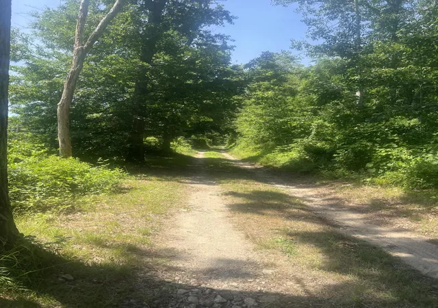 1st image of 11 Freeman Ln, Sagamore, MA 02561 | MLS# 22603567