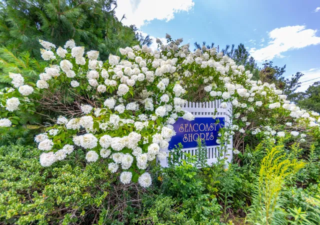 4th image of 8 Hampden Rd, East Falmouth, MA 02536 | MLS# 22603650