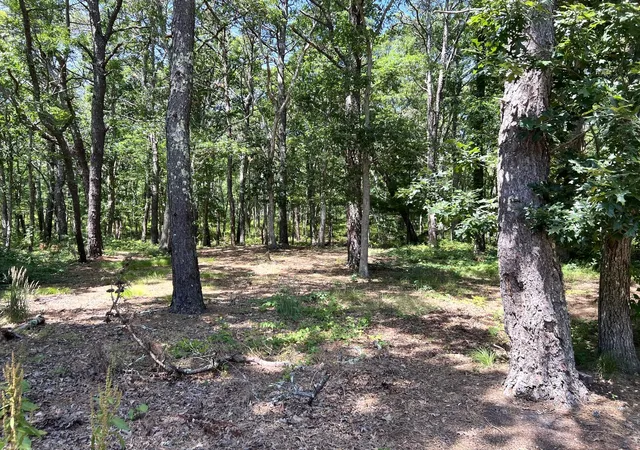 20th image of 591 Old Bass River Rd, Dennis, MA 02638 | MLS# 22603709