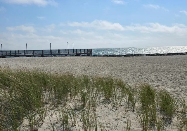 21st image of 64 Wilfin Rd, South Yarmouth, MA 02664 | MLS# 22603841
