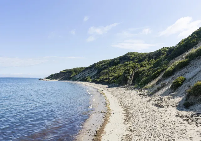 56th image of 25 Brickyard Rd, Chilmark, MA 02535 | MLS# 22603861