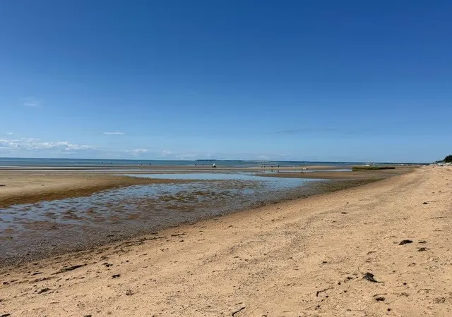 22nd image of 600 Kingsbury Beach Rd, Eastham, MA 02642 | MLS# 22604215