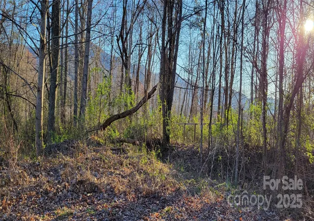 2nd image of 0 Rons Rdg, Waynesville, NC 28785 | MLS# 4001613