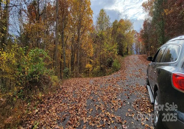 3rd image of 0 Rons Rdg, Waynesville, NC 28785 | MLS# 4001613