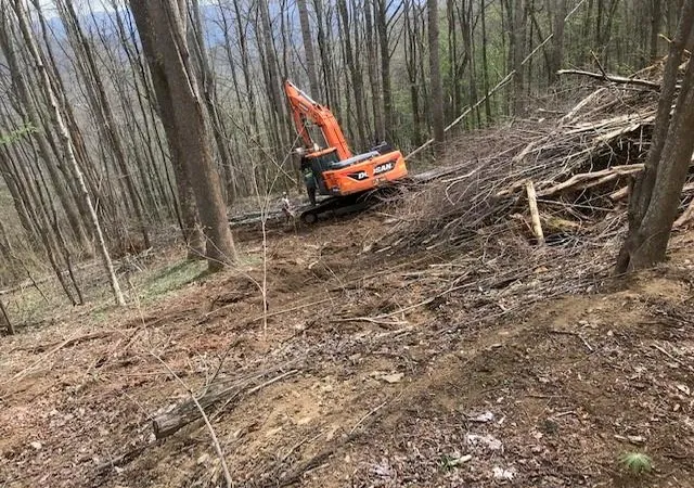 3rd image of 976 Slippery Rock Rd, Waynesville, NC 28785 | MLS# 4005537