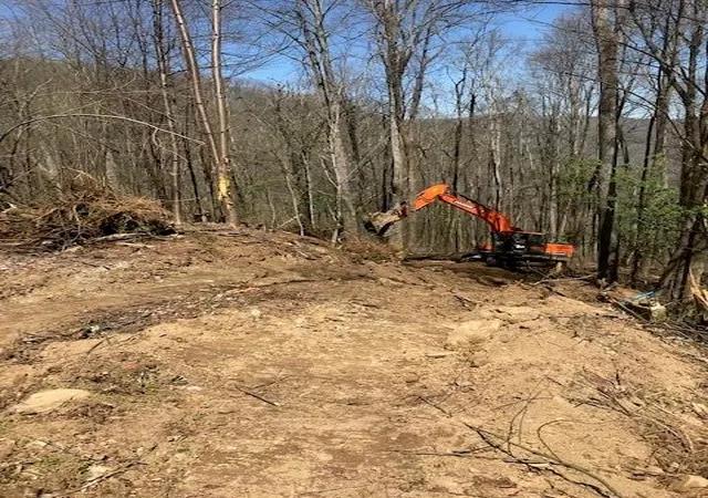 4th image of 976 Slippery Rock Rd, Waynesville, NC 28785 | MLS# 4005537