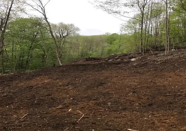 5th image of 976 Slippery Rock Rd, Waynesville, NC 28785 | MLS# 4005537