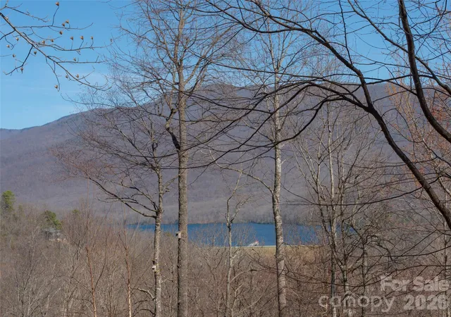 Homes for sale in Black Mountain, NC | 26 Great Aspen Way, Black Mountain, NC 28711 | MLS# 4007479