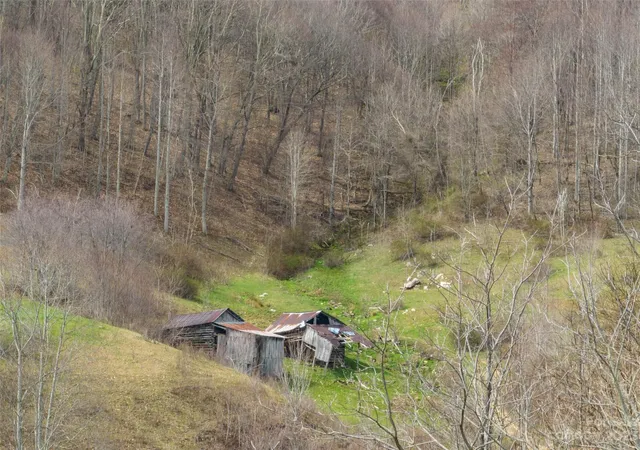 5th image of 00 Wesley Creek Rd, Clyde, NC 28721 | MLS# 4016431