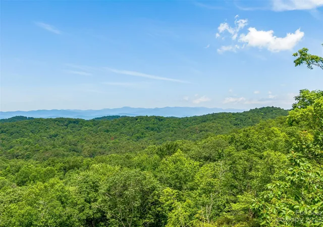 Homes for sale in Brevard, NC | 999 Big Hill Rd, Brevard, NC 28712 | MLS# 4033717