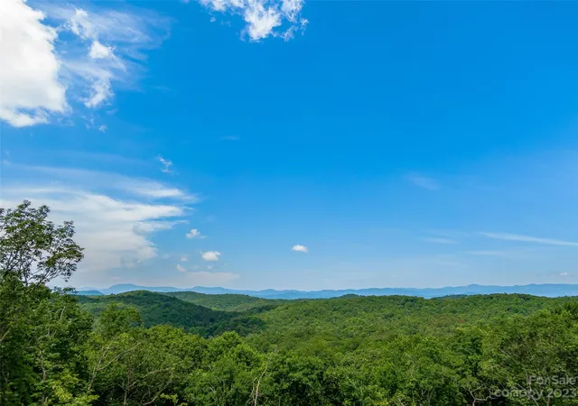 Homes for sale in Brevard, NC | 999 Big Hill Rd, Brevard, NC 28712 | MLS# 4033717
