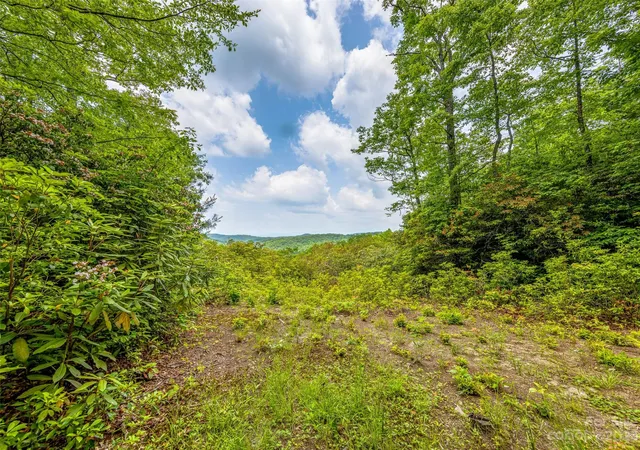 Homes for sale in Brevard, NC | 999 Big Hill Rd, Brevard, NC 28712 | MLS# 4033717