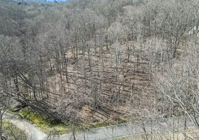 Photo 2 of Land for sale at 16 Chestnut Village Ln #16, Mars Hill, NC 28754 | MLS# 4035188 | Listing updated on 2025-10-15