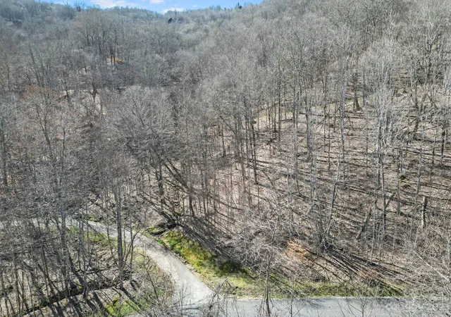Photo 3 of Land for sale at 16 Chestnut Village Ln #16, Mars Hill, NC 28754 | MLS# 4035188 | Listing updated on 2025-10-15