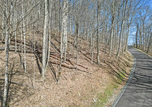 Photo 5 of Land for sale at 16 Chestnut Village Ln #16, Mars Hill, NC 28754 | MLS# 4035188 | Listing updated on 2025-10-15