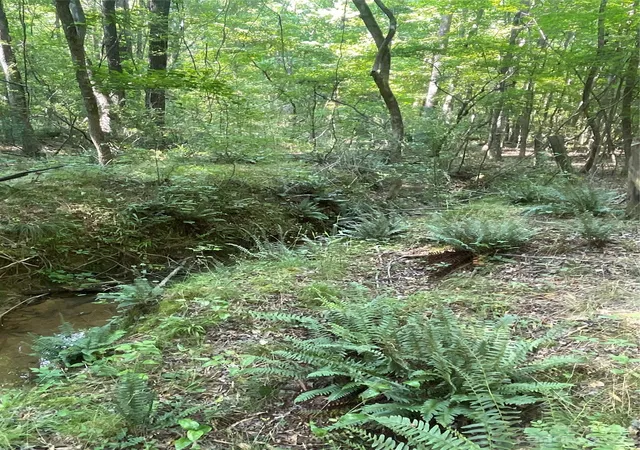 Photo 36 of Land for sale at 2790 Great Falls Hwy, Lancaster, SC 29720 | MLS# 4039643 | Listing updated on 2026-06-01