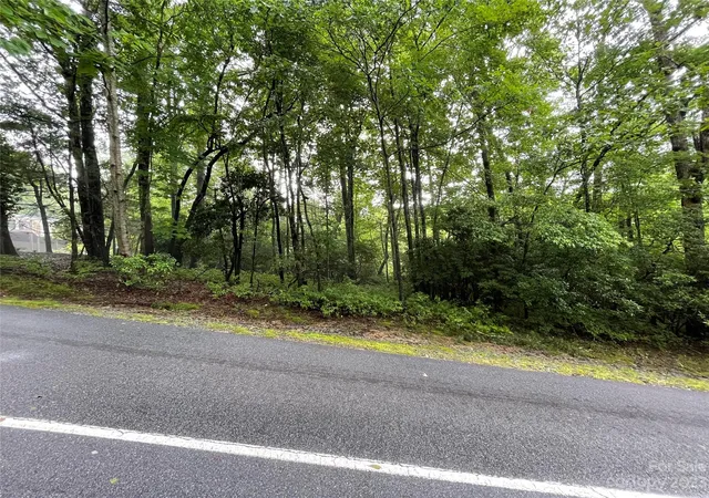Homes for sale in Brevard, NC | Tbd Tellico Trl #116/01, Brevard, NC 28712 | MLS# 4044803