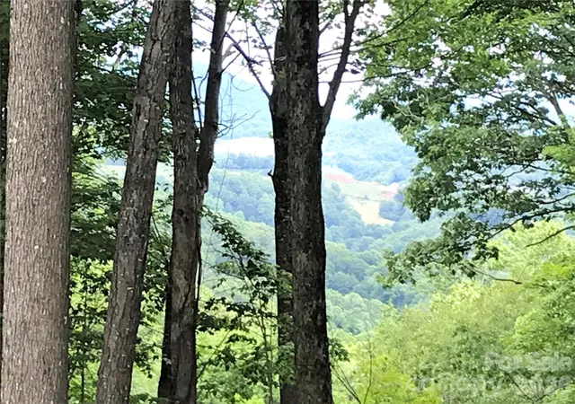 Photo 4 of Land for sale at Lot 64 Poplar Forest Dr, Boone, NC 28607 | MLS# 4045171 | Listing updated on 2026-07-21