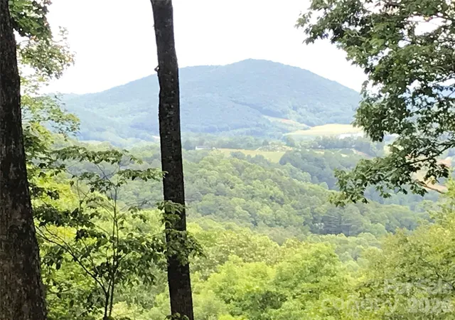 Photo 5 of Land for sale at Lot 64 Poplar Forest Dr, Boone, NC 28607 | MLS# 4045171 | Listing updated on 2026-07-21