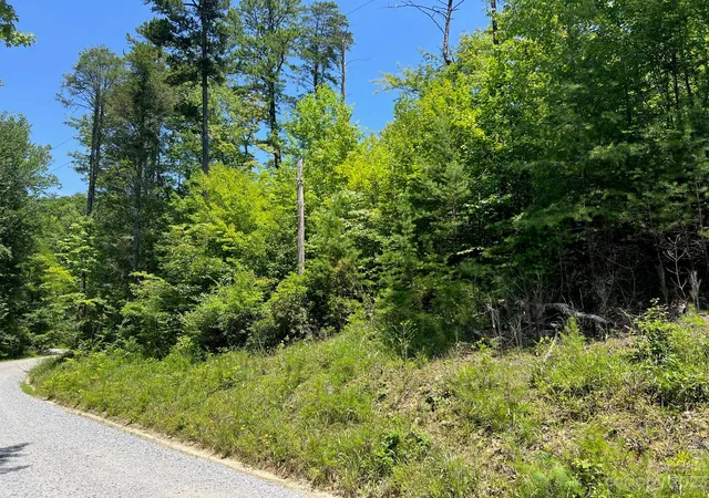 Homes for sale in Brevard, NC | Lot 24 Round Mountain Rd #24, Brevard, NC 28712 | MLS# 4052989