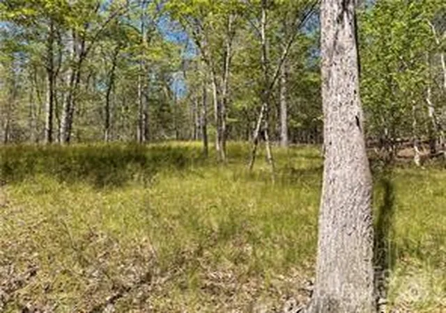 Homes for sale in Rutherfordton, NC | 0000 Zackary Ln #37, Rutherfordton, NC 28139 | MLS# 4053720