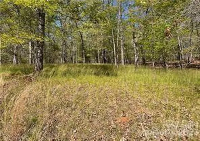 Homes for sale in Rutherfordton, NC | 0000 Zackary Ln #37, Rutherfordton, NC 28139 | MLS# 4053720