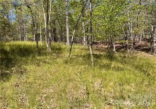 Homes for sale in Rutherfordton, NC | 0000 Zackary Ln #37, Rutherfordton, NC 28139 | MLS# 4053720