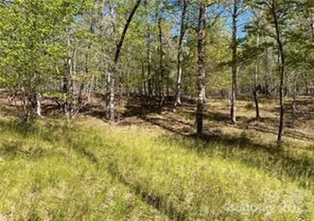 Homes for sale in Rutherfordton, NC | 0000 Zackary Ln #37, Rutherfordton, NC 28139 | MLS# 4053720