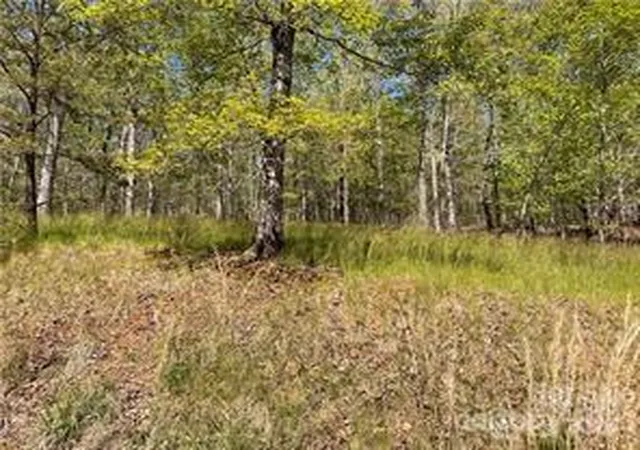 Homes for sale in Rutherfordton, NC | 0000 Zackary Ln #37, Rutherfordton, NC 28139 | MLS# 4053720