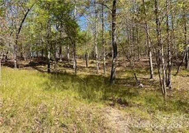 Homes for sale in Rutherfordton, NC | 0000 Zackary Ln #37, Rutherfordton, NC 28139 | MLS# 4053720