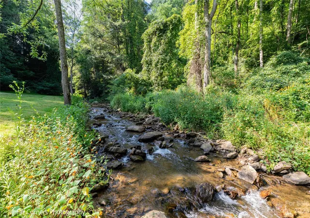 42nd image of 228 Chestnut Mountain Rd, Canton, NC 28716 | MLS# 4056092