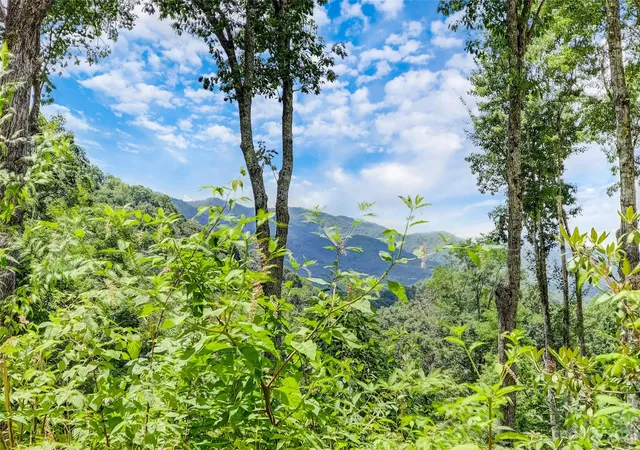 Homes for sale in Maggie Valley, NC | 0 Centurian Ln #26, Maggie Valley, NC 28751 | MLS# 4057489