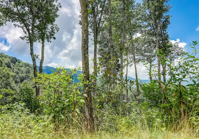 Homes for sale in Maggie Valley, NC | 0 Centurian Ln #26, Maggie Valley, NC 28751 | MLS# 4057489