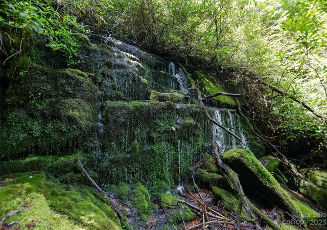 Photo 2 of Land for sale at Tbd Nancy Mountain Rd, Rosman, NC 28772 | MLS# 4059605 | Listing updated on 2026-08-31