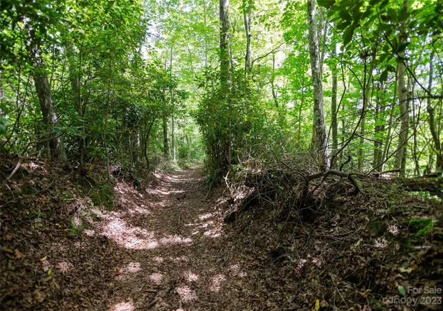 Photo 5 of Land for sale at Tbd Nancy Mountain Rd, Rosman, NC 28772 | MLS# 4059605 | Listing updated on 2026-08-31
