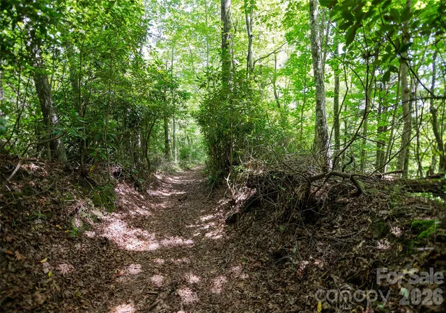 Photo 4 of Land for sale at Tbd Nancy Mountain Rd, Rosman, NC 28772 | MLS# 4059605 | Listing updated on 2026-10-02