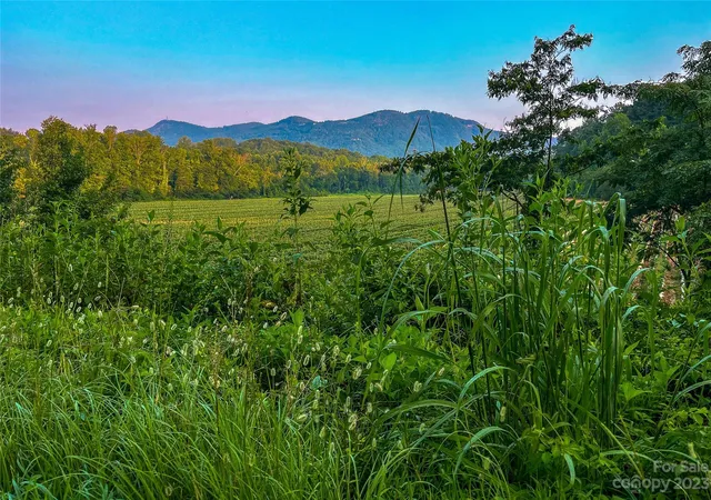 4th image of 0 Fox Mountain Rd #1, Columbus, NC 28722 | MLS# 4066020