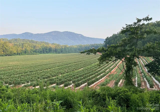 Photo 3 of Land for sale at 0 Fox Mountain Rd #2, Columbus, NC 28722 | MLS# 4066028 | Listing updated on 2026-10-20