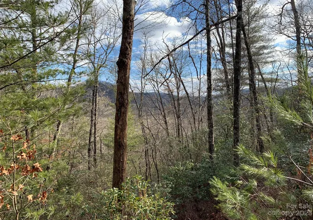Homes for sale in Brevard, NC | 91 Laurel Thicket Ln, Brevard, NC 28712 | MLS# 4069791