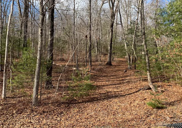 Homes for sale in Brevard, NC | 91 Laurel Thicket Ln, Brevard, NC 28712 | MLS# 4069791