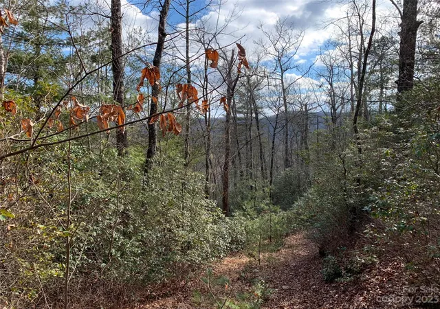 Homes for sale in Brevard, NC | 91 Laurel Thicket Ln, Brevard, NC 28712 | MLS# 4069791