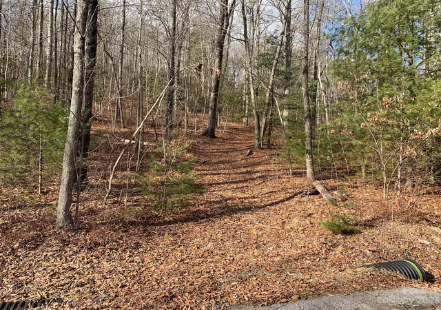 Homes for sale in Brevard, NC | 91 Laurel Thicket Ln, Brevard, NC 28712 | MLS# 4069791