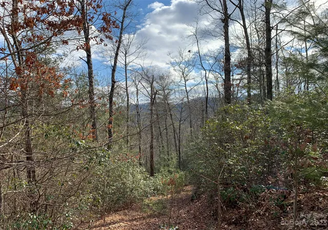 Homes for sale in Brevard, NC | 91 Laurel Thicket Ln, Brevard, NC 28712 | MLS# 4069791