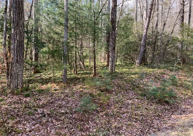 Homes for sale in Brevard, NC | 126 Green Hollow Ln, Brevard, NC 28712 | MLS# 4069802