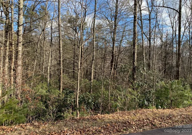 Homes for sale in Brevard, NC | 126 Green Hollow Ln, Brevard, NC 28712 | MLS# 4069802