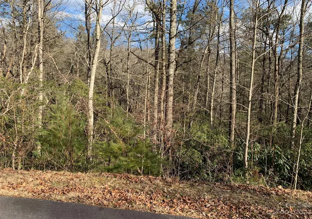 Homes for sale in Brevard, NC | 126 Green Hollow Ln, Brevard, NC 28712 | MLS# 4069802